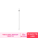 Apple/苹果 Pencil (第一代) 含USB-C转换器 触控笔手写笔苹果笔电容笔 适用部分iPad Pro/iPad Air等