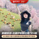 【6人纯玩小团】新疆旅游北疆伊犁7天6晚跟团游/赛里木湖/那拉提/恰西/巴音布鲁克/独子山 伊程山水7天6晚 成人