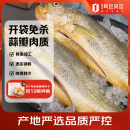 1号会员店【山姆同厂】冷冻宁德三去大黄鱼 黄花鱼 净重700g/2条装 水产鱼