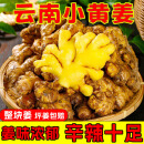 【云南小黄姜】新鲜现挖老姜优质生姜应季蔬菜农家自种新鲜直发 小黄姜 3斤 【净重3斤】