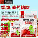 绿陇葡萄糖钛葡萄糖肽蔬菜水果叶面肥水溶肥上色增甜度促长微生物菌剂 1000g(整箱12袋)