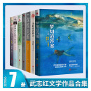 武志红心理学书籍全7册 武志红全集 武志红经典作品：梦知道答案+为何家会伤人+深度关系+你就是答案+身体知道答案+感谢自己的不+为何爱会伤人 【武志红心理学书籍全7册：定价374.6元】