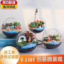 iosn微景观生态瓶多肉植物diy材料玻璃盆栽手工绿植盆栽苔藓创意装饰 10cm斜口瓶多肉龙猫