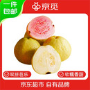 京觅红心白心脆果双拼芭乐 净重4.5斤 红150g起+白160g起源头直发 