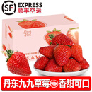 诸氏橙品【空运】丹东九九草莓 红颜99草莓奶油新鲜大果 孕妇水果整箱送礼 2斤特大果，单果35g+，净重1.8斤