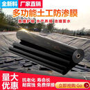 杰西丁鱼塘膜防渗膜加厚鱼塘防水布蓄水池护坡耐用化粪池防漏 防渗膜 鱼塘防渗膜【0.2毫米】耐用8年 《8米x100米》抗老化一级国标料