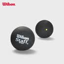 威尔胜（Wilson）STAFF壁球橡胶训练比赛壁球配件多颗装 WRT617300-慢速球-1颗装