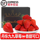 诸氏橙品【空运】丹东九九草莓 红颜99草莓奶油新鲜大果 孕妇水果整箱送礼 3斤礼盒，单果35-40g，净重2.2斤