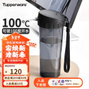 特百惠（Tupperware）茶韵500ML塑料杯 男女学生便携办公用水杯子大容量双饮口 酷炫黑