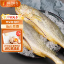 1号会员店【山姆同厂】冷冻宁德三去大黄鱼 黄花鱼 净重700g/2条装 水产鱼