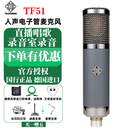 德律风根（TELEFUNKEN）TF11 TF47 TF51电子管电容麦克风录音棚直播录音主播有声书话筒 TF51 标准套餐