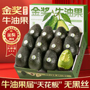 山姆大叔 金奖·哈斯牛油果云南孟连【闪送】当季鳄梨非即食新鲜水果礼盒 【80%选择】精品果丨约100-130g 6枚【20%选择-较划算】普装