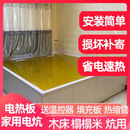 FANCYCHIC电热板家用电炕板床可调温电炕板碳纤维双控冬天取暖电热炕板火炕 【升级】金色1.7米长0.85米宽 多件/多张