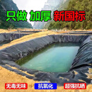 仁禾青鱼塘防渗膜加厚土工膜鱼池护坡防水膜养殖塑料膜蓄水池防水塑料布 16米宽20米长