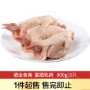 硒全食美富硒乳鸽 净重900g(300g*3只) 冷冻 烧烤食材生鲜鸽子肉