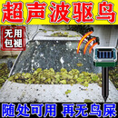 汽车防鸟屎神器驱鸟器停车场树下阳台防鸟鸽子乱拉屎新型声波赶鸟 百米再无鸟【5个装】