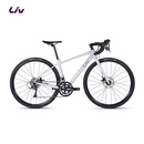 Liv丽以芙Avail AR 4-GC碳纤维前叉碟刹16速舒适女士弯把公路自行车 浅丁香 700C×445MM S 建议158-169cm