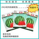 美都西瓜种子皮薄耐裂少籽超甜脆8424圆西瓜美都西瓜种子籽孑 微萌美都2000粒装