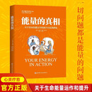 新华书店官方正版 能量的真相关于生命能量运作和提升的底层逻辑 卡比尔·贾菲 亚健康 提升觉知力 高敏感能量使用手册 平衡操 养生励志大众心理学书籍 北京科学技术出版社