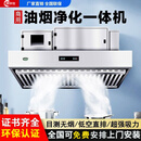 澳华仕【免费包安装】商用油烟净化一体机餐饮饭店酒店厨房排烟罩低空排放净化器室外无管道油烟机 油烟净化一体机