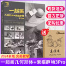 【现货速发】一起画几何形体+素描静物3Pro 2024完美教学杨慎修单体到组合步骤美术考前素材大全全面覆盖考前素材名师指路美术高艺联考美术书 一起画几何形体+素描静物3Pro