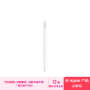 Apple/苹果 Pencil Pro 磁吸触控笔手写笔苹果笔电容笔书写绘画适用于iPad mini新品/Pro (M4)/Air (M2)