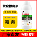 红尾鸟黄金根腐康活化土壤根腐病专用软腐病基腐病正品 500g 1瓶 【黄金根腐康】 20瓶黄金根腐康+送20袋木霉菌
