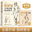 美学大师 黄金版伯里曼人体结构绘画教学 人物速写入门基础绘画临摹书籍