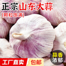精选新鲜山东大蒜干蒜多瓣蒜头蔬菜批发产地直发大蒜头 优选 5斤 (果径≥3.5cm)