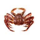 鲜活帝王蟹 1-1.5kg/只