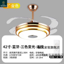 恒岚广东中山古镇灯具灯扇一体带风扇的吊灯隐形吊扇灯卧室客厅餐厅电 金色 双层铝  蓝牙音乐 48寸+LED+遥控