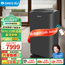 格力（GREE）除湿机家用智能低噪抽湿机卧室除湿器办公室抽湿器地下室工业除吸湿机大空间祛湿除潮干燥机吸湿器 160L/天 180㎡以上 DH160FQA1A