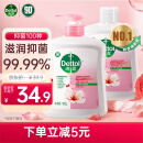 滴露（Dettol）抑菌洗手液滋润500g+500g补充装替换 家庭儿童消毒护手