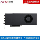 朴赛深度学习显卡 推理计算GPU 英伟达PRO 5000   48G  涡轮