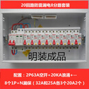 德力西20回路强电箱豪华德力西防雷漏电开关套装明装暗装家用成套配电箱 乳白色 明装