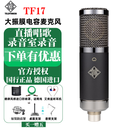 德律风根（TELEFUNKEN）TF11 TF51电子管电容麦克风录音棚直播主播有声书高端大振膜话筒 TF17 标准套餐