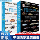 【2025年1月新书】官方正版 中国淡水鱼类图鉴 李帆著 收录700多种淡水鱼类物种基础信息研究分析活体拍摄2000张仿生图片科普百科图鉴 海峡书局 中国淡水鱼类图鉴