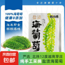 盐渍海葡萄泡发食用 儿童海藻菜海洋蔬菜海草 海葡萄100g*3袋【送芥末酱油】