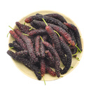  枝头熟糖果桑葚125g