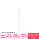 Apple/苹果 Pencil(USB-C)磁吸触控笔手写笔苹果笔电容笔适用于新iPad mini/Pro (M4)/Air (M2)/iPad10