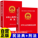 【全2册】中华人民共和国民法典+中华人民共和国刑法 法律启蒙书法律知识科普读物