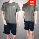际华三五零一体能服短袖体能训练短袖服夏季户外体能运动训练服军迷速干T恤 灰色短袖套装 175/92-96