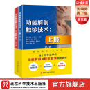 功能解剖触诊技术 第2版 全2册 上肢+下肢和躯干 运动康复 医学 解剖 默认