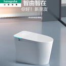 汉斯格雅新款家用智能马桶一体式全自动无水压限制内置泡沫盾虹吸式坐便器 全智能版-带水箱(无水压限制) 包安装