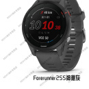 佳明（GARMIN）265运动手表户外GPS智能跑步马拉松游泳心率腕表 Forerunner255 神秘灰 含贴膜