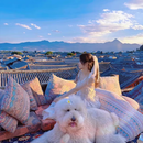 2-8人轻奢小团｜昆明大理丽江玉龙雪山纯玩6天5晚小包团 成人（单人价）