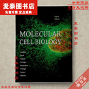 【京挑图书】全新全彩现货/Molecular Cell Biology 8th edition 彩色纸质书