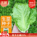 北蔬 生菜种子苗四季种生吃耐热耐抽薹菜籽 速翠1号生菜种子约5000粒