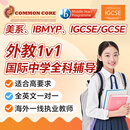 外教1v1网课国际中学IBMYP/IGCSE/美系直播在线物理化学生物数学 1节试听课 1v1 50分钟/节(2)