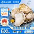 乳山牡蛎 鲜活乳山生蚝5XL 净重10斤 18-20只 生鲜海鲜 源头直发 中秋聚餐